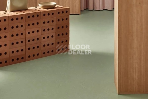 Линолеум Marmoleum Solid Concrete 3750 pine forest фото 2 | FLOORDEALER